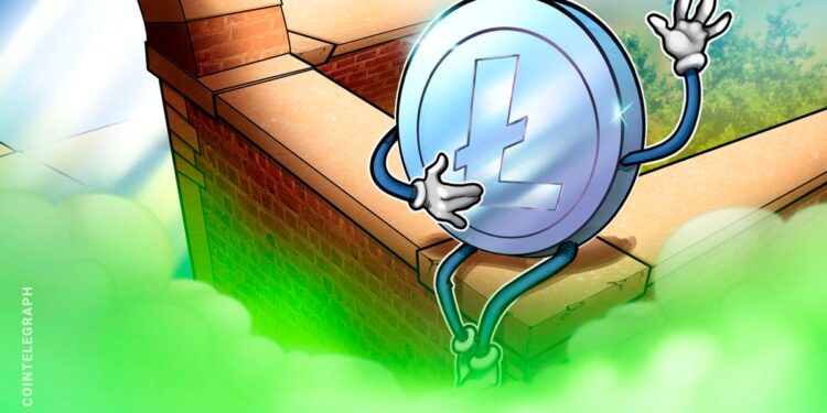 Litecoin Feuds With Crypto Influencer Over Price And Hairline