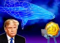 Trump-linked WLFI’s 40% decline causes millions in losses for crypto whales