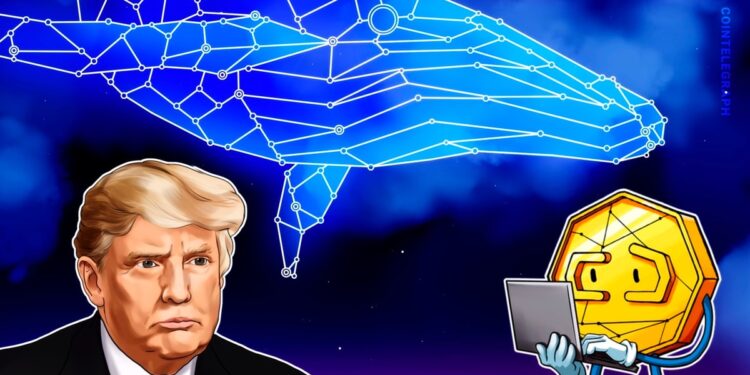Trump-linked WLFI’s 40% decline causes millions in losses for crypto whales