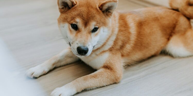 CleanCore Plans to Buy 1B Tokens in 30 Days