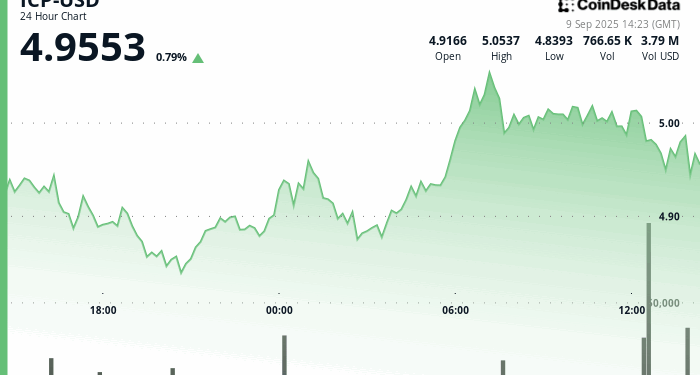 Internet Computer Drops 3% After Rally Stalls at $5.05 Resistance
