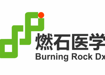 Burning Rock Reports Second Quarter 2025 Financial Results