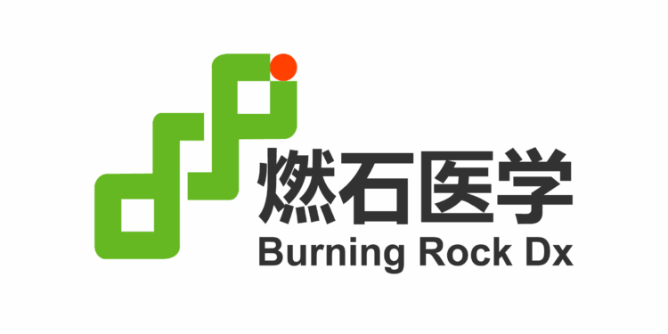 Burning Rock Reports Second Quarter 2025 Financial Results