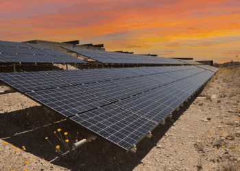 Climate Change, Risk Management, and the Freedom to Invest Responsibly