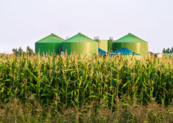 The Little-Known Credit Holding Up the Clean Fuel Market