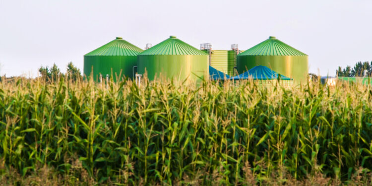 The Little-Known Credit Holding Up the Clean Fuel Market