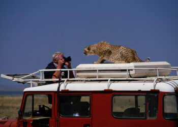 Stablecoins and Treasuries: A Fragile Funding Link Investors Can’t Ignore