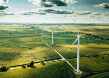 Research and Policy Center Five Most Popular Articles of 2023: Sustainability