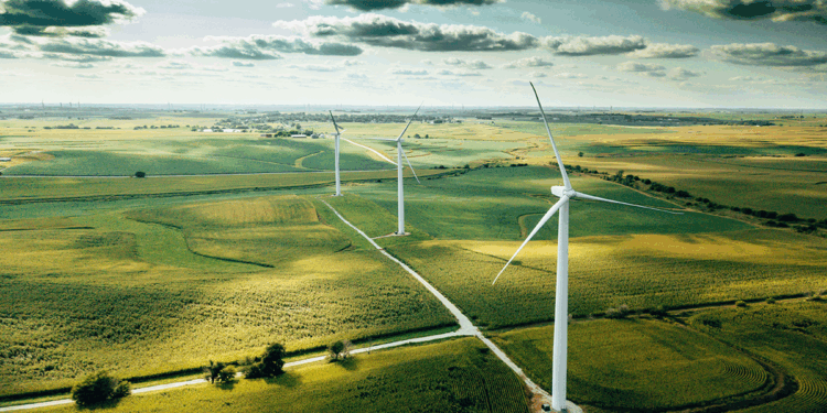 Research and Policy Center Five Most Popular Articles of 2023: Sustainability