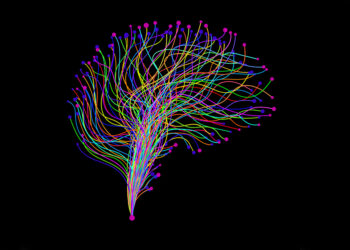 Sentiment Analysis Revisited – CFA Institute Enterprising Investor