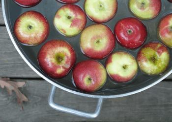 Trick or Treat? Bobbing for Multibaggers in the Small-Cap Market