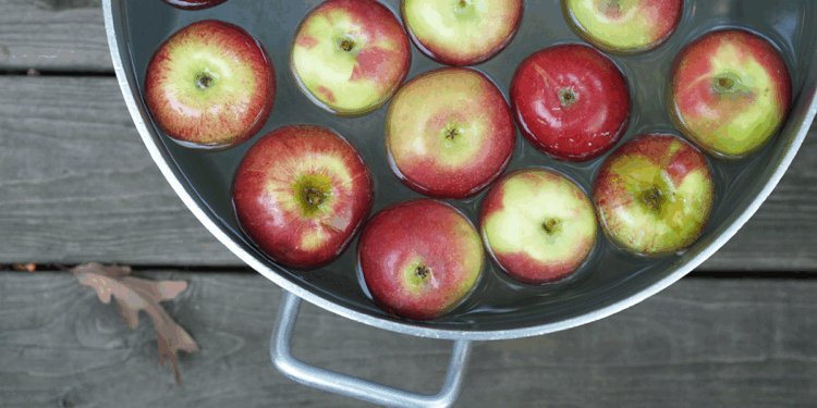 Trick or Treat? Bobbing for Multibaggers in the Small-Cap Market