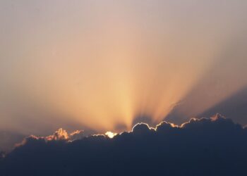 IP Token Surges on Corporate Treasury Adoption