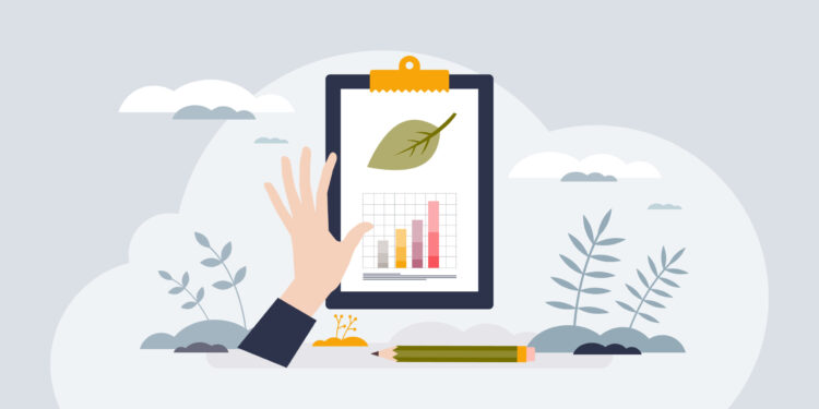 Sustainability Reporting: Navigating Assurance Practices