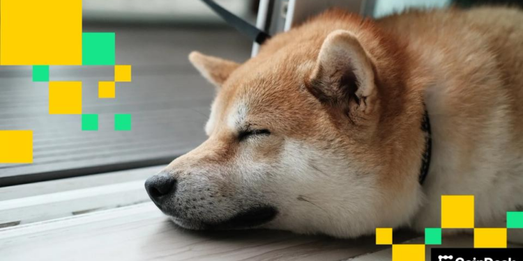 Dogecoin Beats the Blue Chips as D.O.G.E Calls it Quits