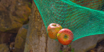 Conservatism: De-Risking the Profitability Factor