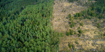 ESG (In)Efficiency – CFA Institute Enterprising Investor