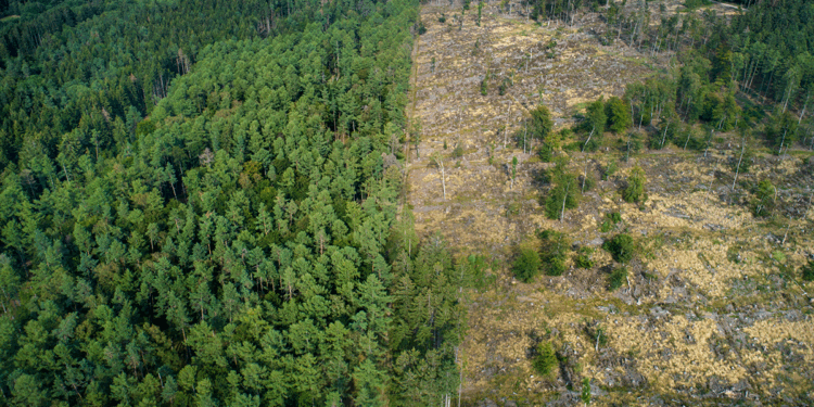 ESG (In)Efficiency – CFA Institute Enterprising Investor