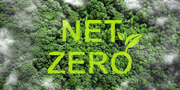 Navigating Net-Zero Investing Benchmarks, Incentives, and Time Horizons