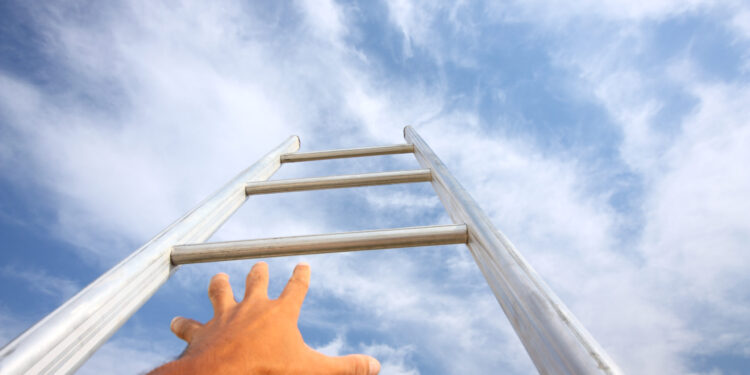 Are Institutional Investors Meeting Their Goals? Spotlight on Earnings Objectives