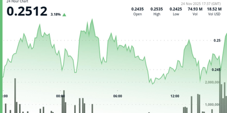 Stellar Climbs 3.5% to $0.25 as Technical Recovery Gains Momentum